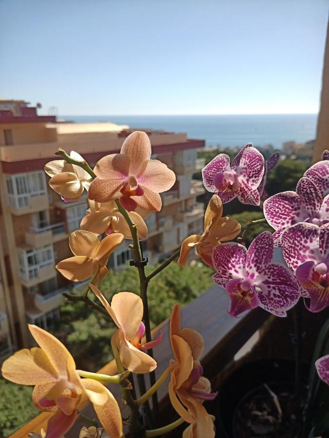 SWEET HOME BENALMADENA, Estudio con vistas al mar y excelente conexion wifi, Sea view con piscinas Exterior foto